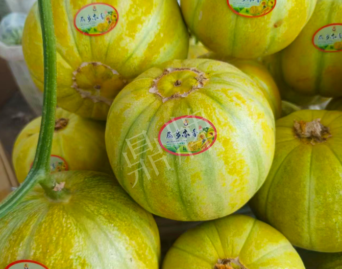 蔬菜種子種植戶客戶點評-這個甜瓜熟透了都不裂瓜，在新疆賣14元每公斤！